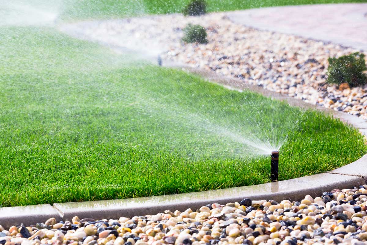 Bepflanzung & Gartenpflege: Nahaufnahme eines Rasenstück mit Kiesumrandung, das über einen Rasensprenger bewässert wird.