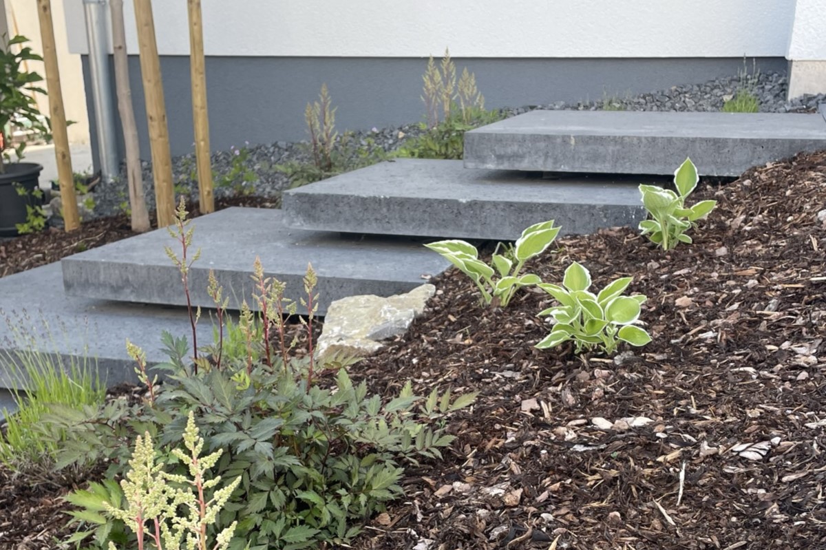 Anthrazitfarbene schwebende Treppe zur Eingangstür hinter Blumenbeet