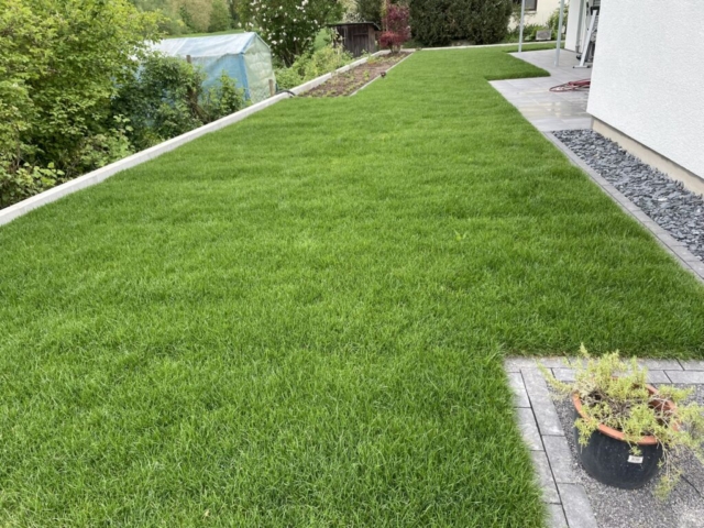 Garten mit Rollrasenfläche, Einzeiler in grau und Pflanzbeet