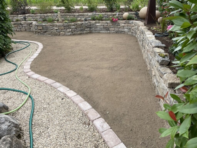 Gartenfläche mit Einzeiler, Natursteinmauer und Bepflanzung auf der Mauer mit Rasenplanum im Vordergrund.