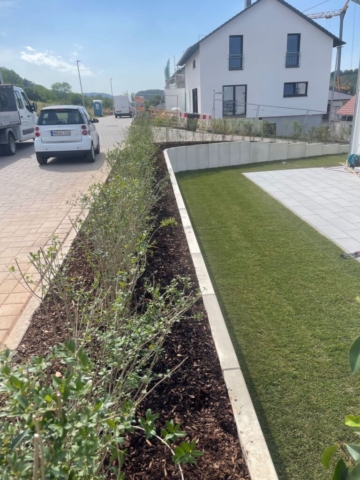Rollrasenfläche mit Terrassenplatten in grau. Eingerahmt von grauen L-Steinen mit Pflanzbett mit Heckenpflanzen.