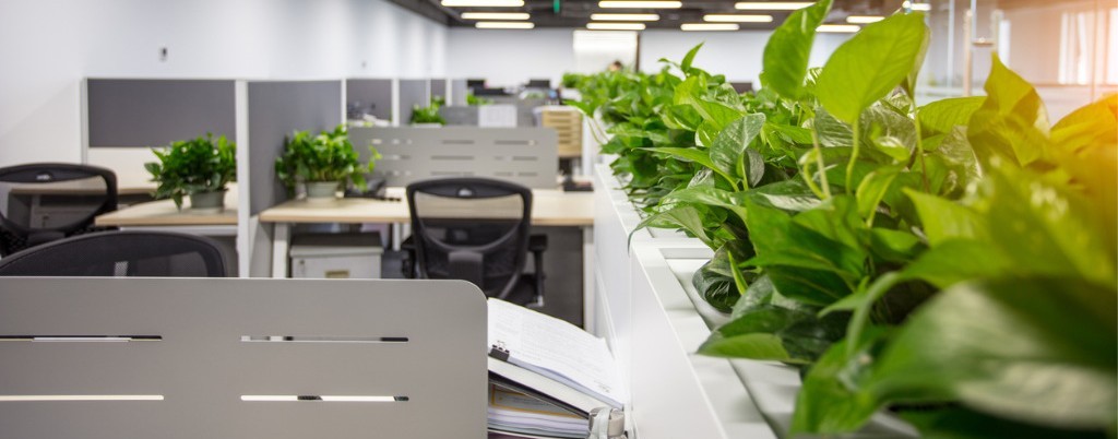 Handy Modernes Büro mit Schreibtischen, ergonomischen Stühlen und grünen Pflanzen – Teil unseres Firmenangebots für eine gesunde Arbeitsumgebung