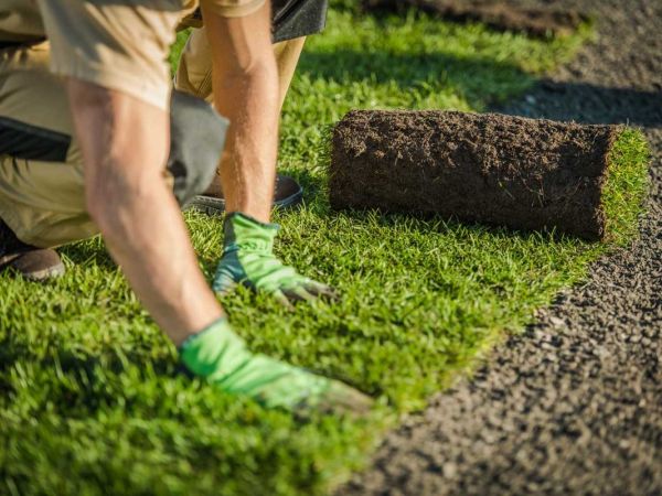 Perfekte Rasenanlage durch professionelle Verlegung Fachgerechte Rollrasenverlegung mit frischem Rasen und vorbereitetem Untergrund