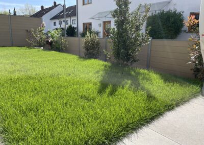Gepflegte Rasenfläche mit Sträuchern und Sichtschutzzaun in einem modernen Privatgarten