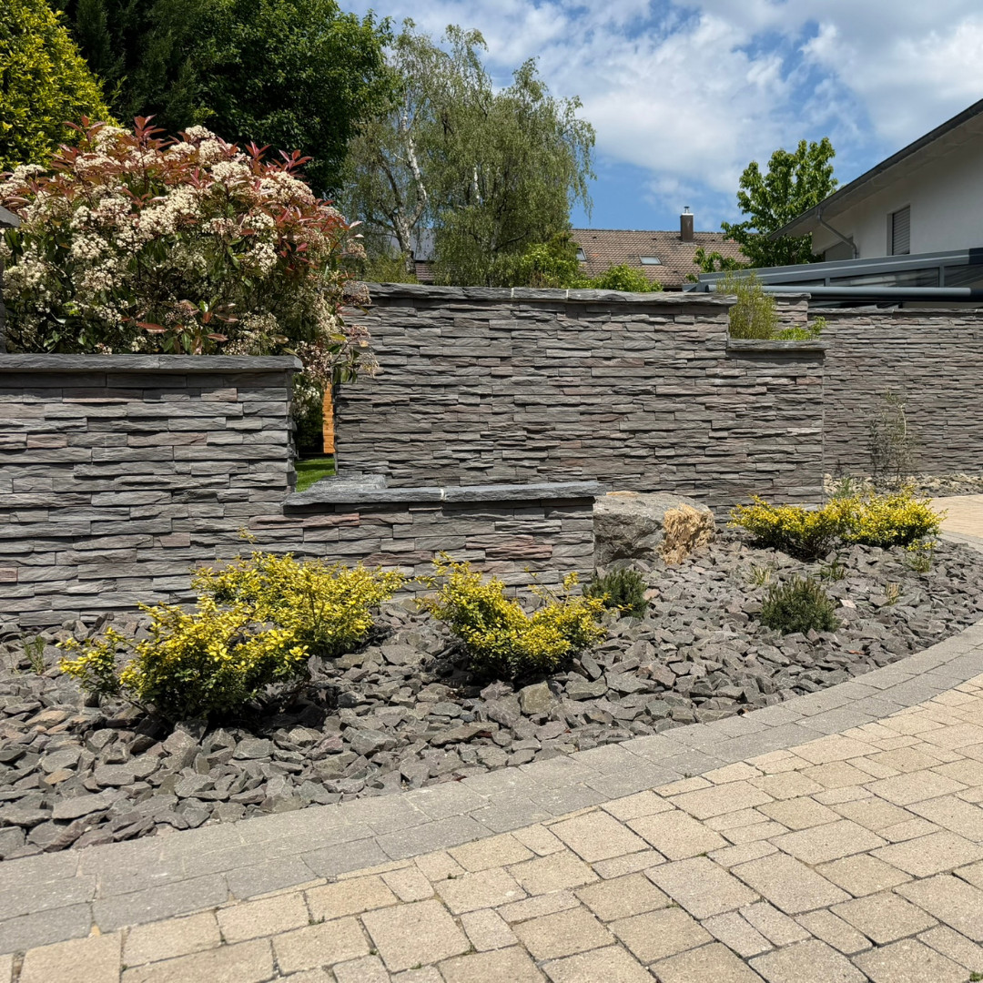 Naturstein als prägender Blickfang und Sichtschutz zugleich Moderne Riemchenmauer mit Natursteinoptik, dunkler Kiesfläche, Findlingen, gelber Bepflanzung und Pflasterfläche im Vorgarten