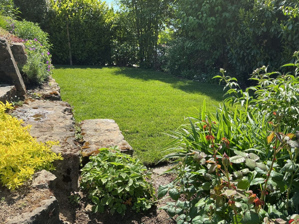 gartenbau-landschaftsbau-bepflanzung-pflege
