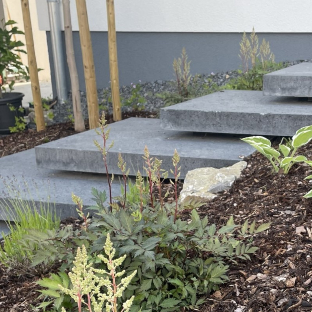 Schwebende Treppe zum grünen Eingangsbereich Moderne schwebende Betonstufen am Hauseingang mit Staudenbepflanzung, Gräsern und klar gestalteter Außenanlage